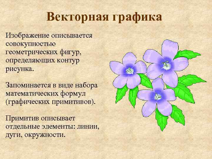 Векторная графика Изображение описывается совокупностью геометрических фигур, определяющих контур рисунка. Запоминается в виде набора