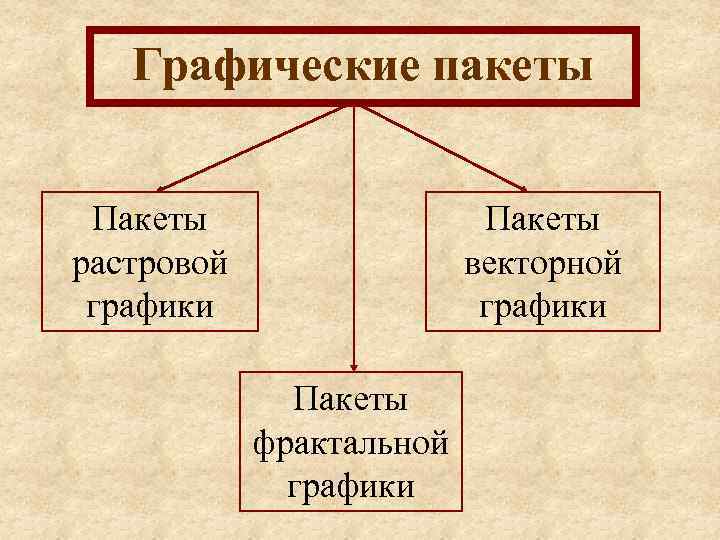 Графические пакеты Пакеты растровой графики Пакеты векторной графики Пакеты фрактальной графики 