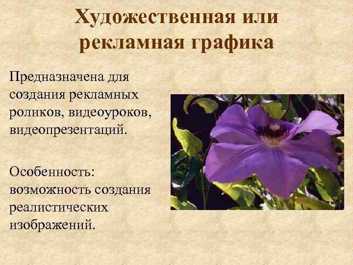 Художественная или рекламная графика Предназначена для создания рекламных роликов, видеоуроков, видеопрезентаций. Особенность: возможность создания