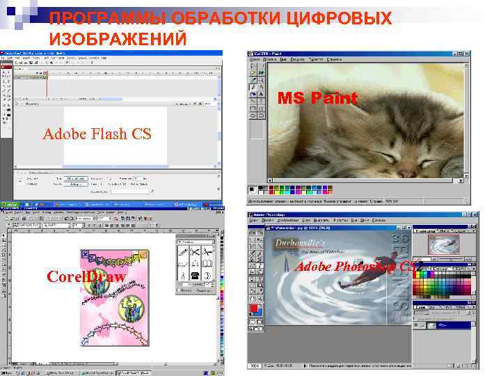 ПРОГРАММЫ ОБРАБОТКИ ЦИФРОВЫХ ИЗОБРАЖЕНИЙ MS Paint Adobe Flash CS Corel. Draw Adobe Photoshop CS