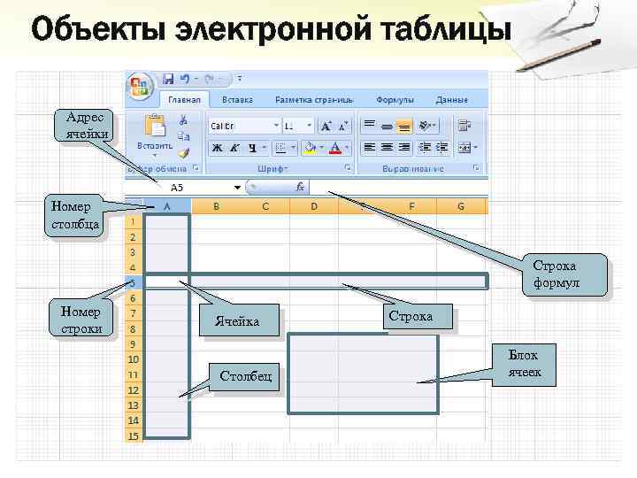 Объекты электронной таблицы Адрес ячейки Номер столбца Строка формул Номер строки Ячейка Столбец Строка