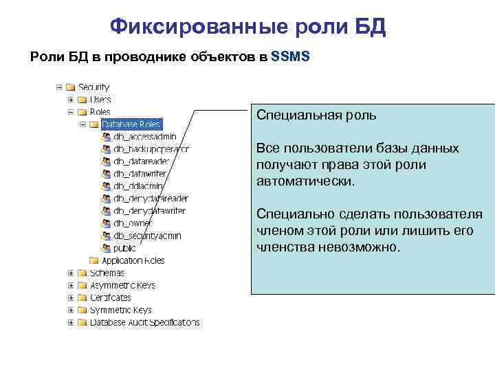 Фиксированные роли БД Роли БД в проводнике объектов в SSMS Специальная роль Все пользователи