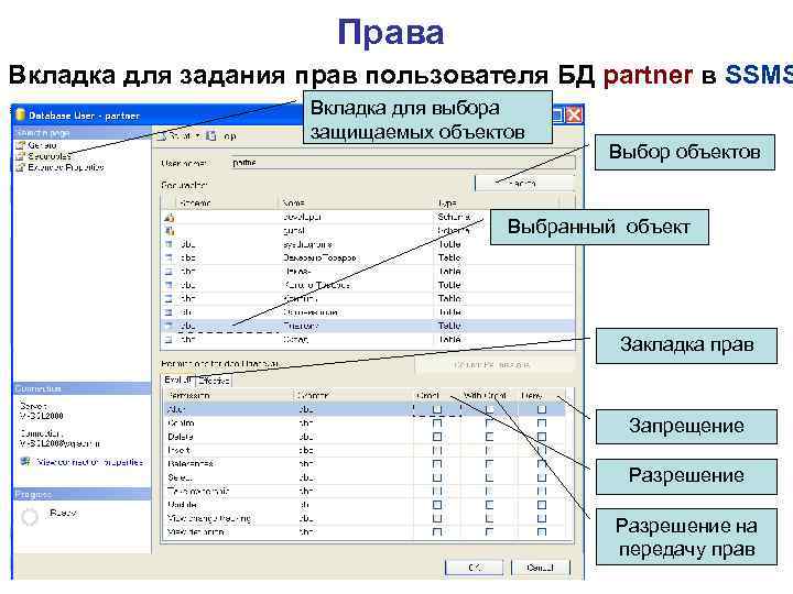 Права Вкладка для задания прав пользователя БД partner в SSMS Вкладка для выбора защищаемых