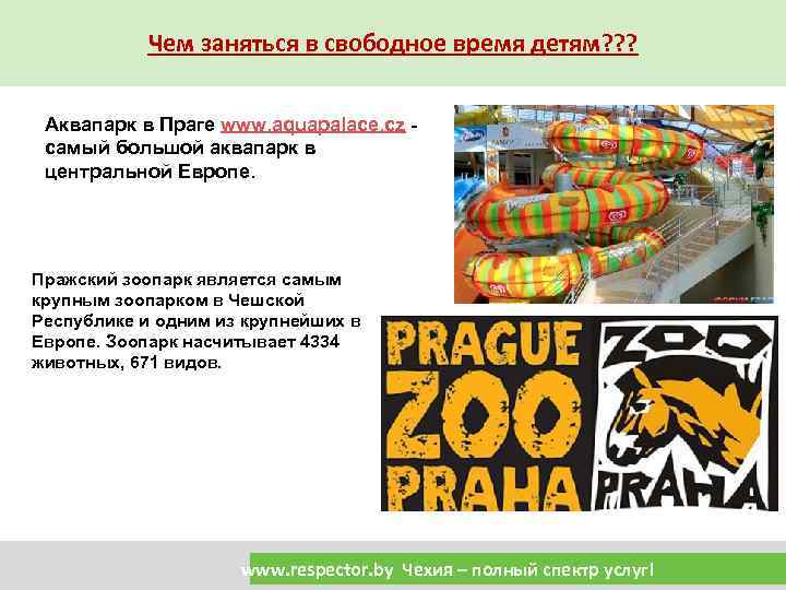 Чем заняться в свободное время детям? ? ? Аквапарк в Праге www. aquapalace. cz