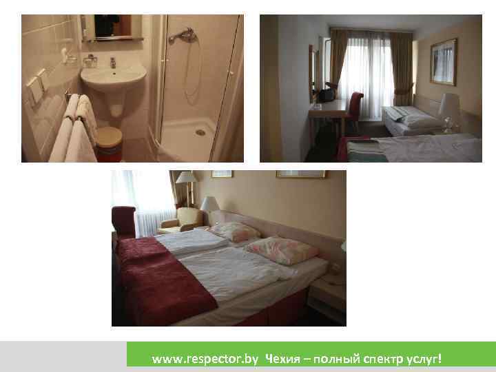 www. respector. by Чехия – полный спектр услуг! 