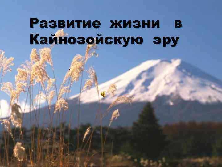 Развитие жизни в Кайнозойскую эру. 