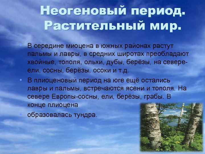 Неогеновый период. Растительный мир. • В середине миоцена в южных районах растут пальмы и