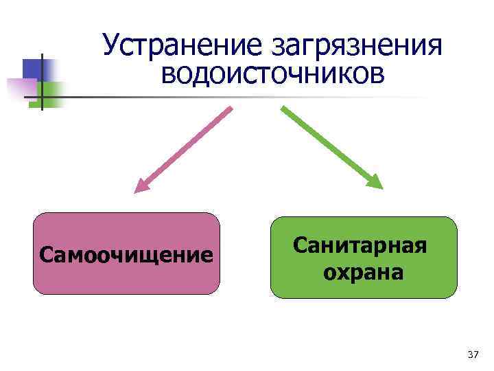 Устранение загрязнения водоисточников Самоочищение Санитарная охрана 37 