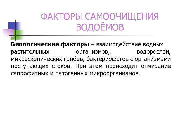 ФАКТОРЫ САМООЧИЩЕНИЯ ВОДОЁМОВ Биологические факторы – взаимодействие водных растительных организмов, водорослей, микроскопических грибов, бактериофагов