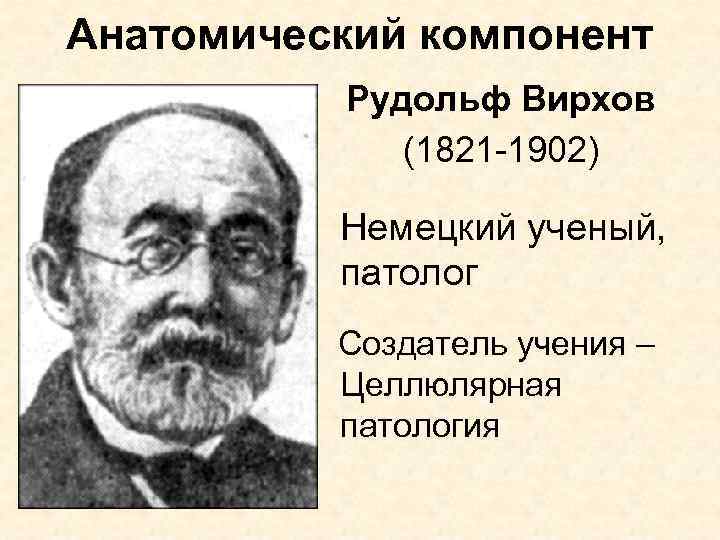 Анатомический компонент Рудольф Вирхов (1821 -1902) Немецкий ученый, патолог Создатель учения – Целлюлярная патология