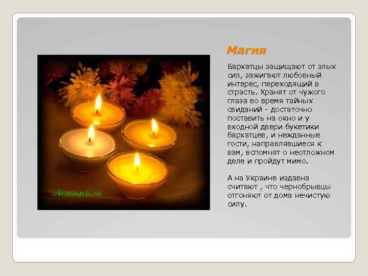 Магия Бархатцы защищают от злых сил, зажигают любовный интерес, переходящий в страсть. Хранят от
