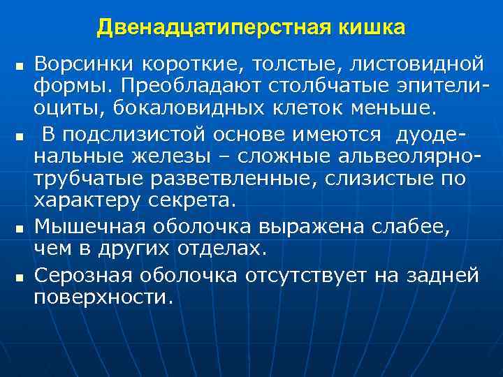 Двенадцатиперстная кишка n n Ворсинки короткие, толстые, листовидной формы. Преобладают столбчатые эпителиоциты, бокаловидных клеток