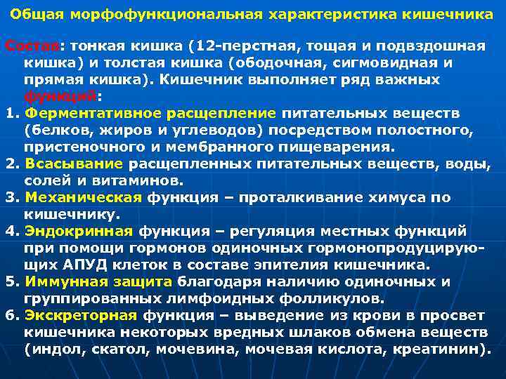 Общая морфофункциональная характеристика кишечника Состав: тонкая кишка (12 -перстная, тощая и подвздошная кишка) и