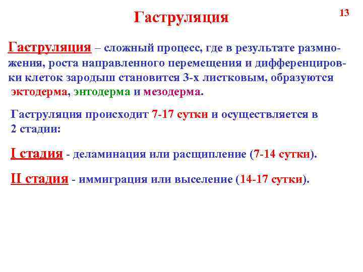 Гаструляция 13 Гаструляция – сложный процесс, где в результате размножения, роста направленного перемещения и