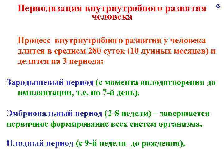 Периодизация внутриутробного развития человека Процесс внутриутробного развития у человека длится в среднем 280 суток