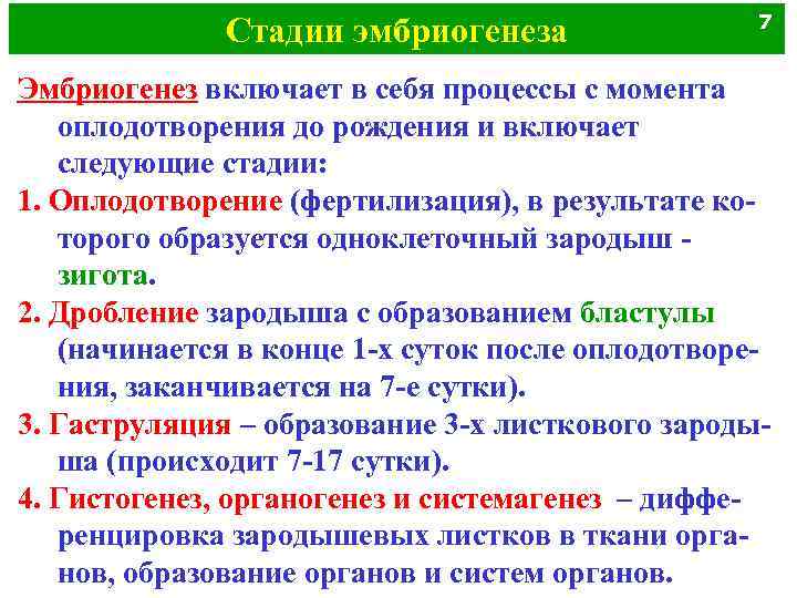 Стадии эмбриогенеза 7 Эмбриогенез включает в себя процессы с момента оплодотворения до рождения и