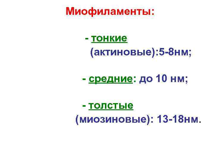 Миофиламенты: - тонкие (актиновые): 5 -8 нм; - средние: до 10 нм; - толстые