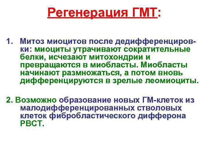 Регенерация ГМТ: 1. Митоз миоцитов после дедифференцировки: миоциты утрачивают сократительные белки, исчезают митохондрии и