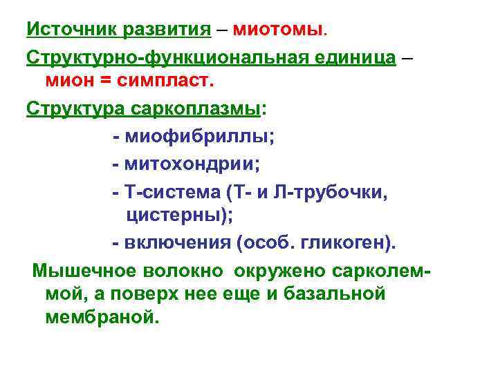 Источник развития – миотомы. Структурно-функциональная единица – мион = симпласт. Структура саркоплазмы: - миофибриллы;