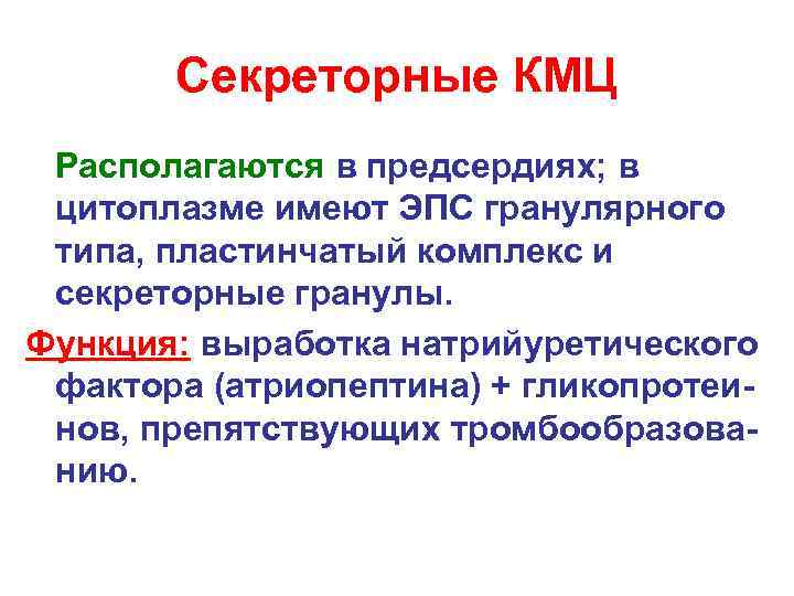 Секреторные КМЦ Располагаются в предсердиях; в цитоплазме имеют ЭПС гранулярного типа, пластинчатый комплекс и