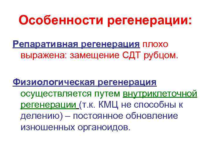 Особенности регенерации: Репаративная регенерация плохо выражена: замещение СДТ рубцом. Физиологическая регенерация осуществляется путем внутриклеточной