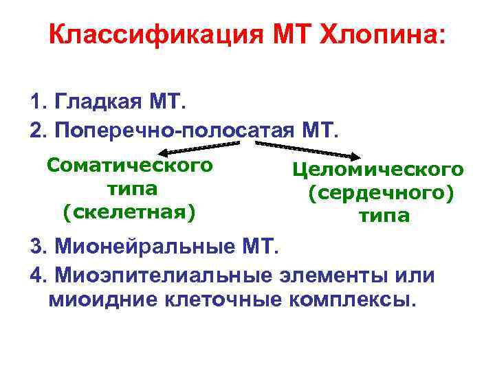 Классификация МТ Хлопина: 1. Гладкая МТ. 2. Поперечно-полосатая МТ. Соматического типа (скелетная) Целомического (сердечного)