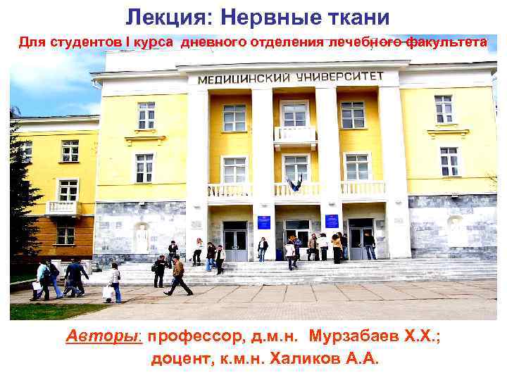 Лекция: Нервные ткани Для студентов I курса дневного отделения лечебного факультета Авторы: профессор, д.