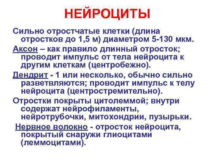 НЕЙРОЦИТЫ Сильно отростчатые клетки (длина отростков до 1, 5 м) диаметром 5 -130 мкм.