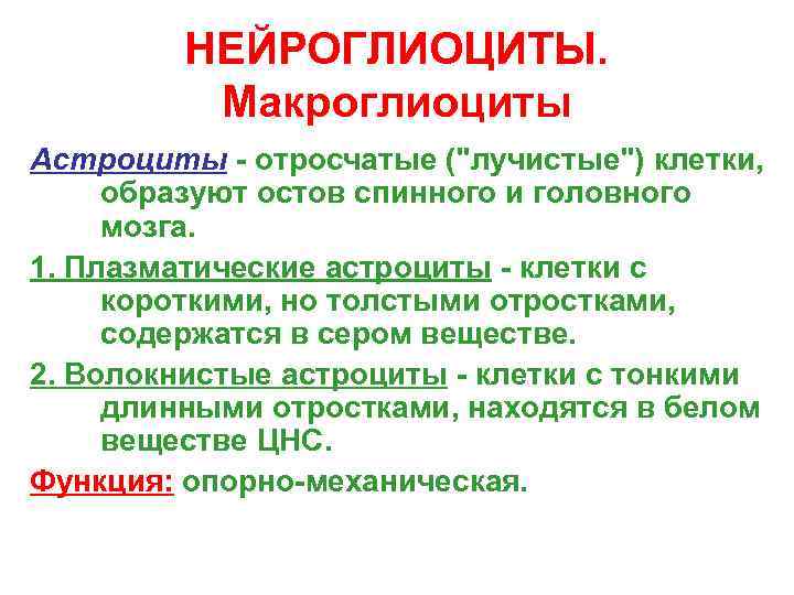 НЕЙРОГЛИОЦИТЫ. Макроглиоциты Астроциты - отросчатые (