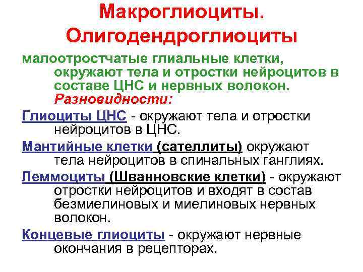 Макроглиоциты. Олигодендроглиоциты малоотростчатые глиальные клетки, окружают тела и отростки нейроцитов в составе ЦНС и