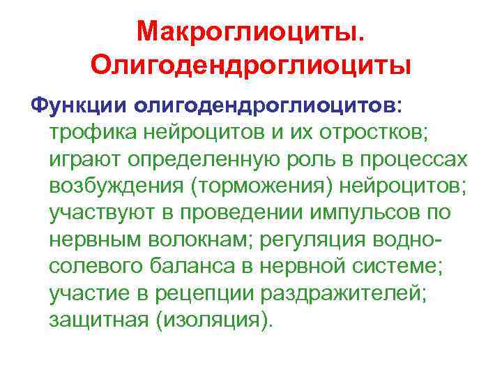 Макроглиоциты. Олигодендроглиоциты Функции олигодендроглиоцитов: трофика нейроцитов и их отростков; играют определенную роль в процессах