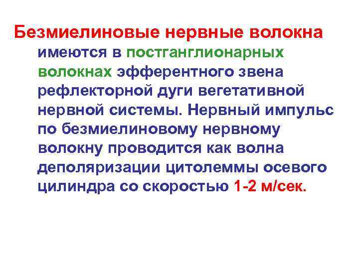 Безмиелиновые нервные волокна имеются в постганглионарных волокнах эфферентного звена рефлекторной дуги вегетативной нервной системы.