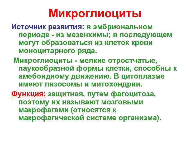 Микроглиоциты Источник развития: в эмбриональном периоде - из мезенхимы; в последующем могут образоваться из