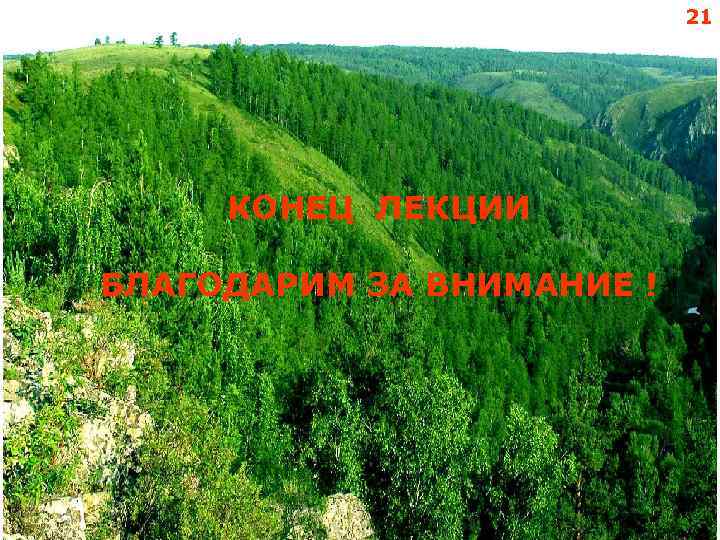21 КОНЕЦ ЛЕКЦИИ БЛАГОДАРИМ ЗА ВНИМАНИЕ ! 