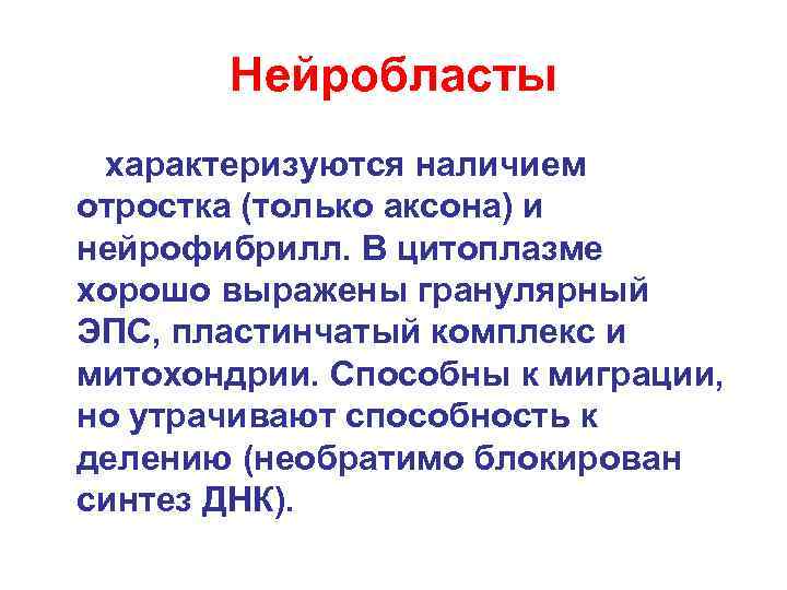 Нейробласты характеризуются наличием отростка (только аксона) и нейрофибрилл. В цитоплазме хорошо выражены гранулярный ЭПС,