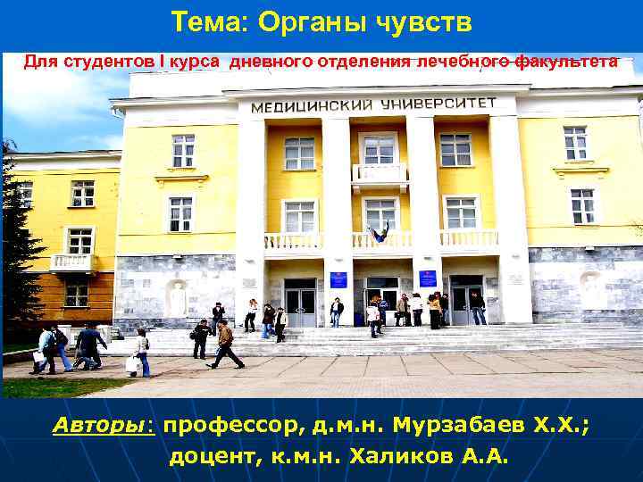 Тема: Органы чувств Для студентов I курса дневного отделения лечебного факультета Авторы: профессор, д.