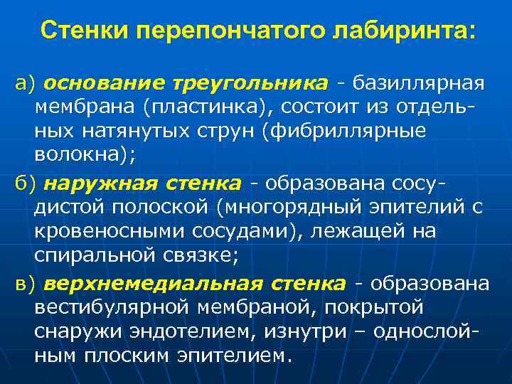 Стенки перепончатого лабиринта: а) основание треугольника - базиллярная мембрана (пластинка), состоит из отдельных натянутых