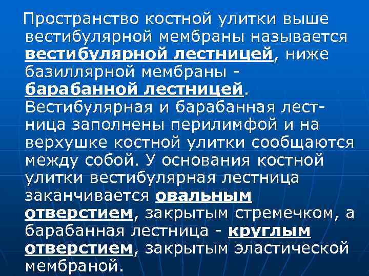 Пространство костной улитки выше вестибулярной мембраны называется вестибулярной лестницей, ниже базиллярной мембраны барабанной лестницей.