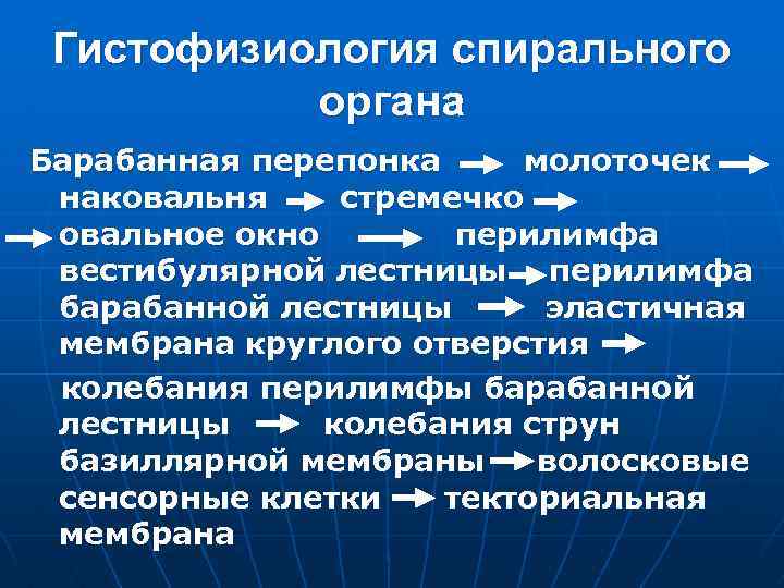 Гистофизиология спирального органа Барабанная перепонка молоточек наковальня стремечко овальное окно перилимфа вестибулярной лестницы перилимфа