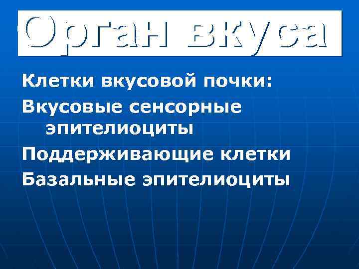 Клетки вкусовой почки: Вкусовые сенсорные эпителиоциты Поддерживающие клетки Базальные эпителиоциты 