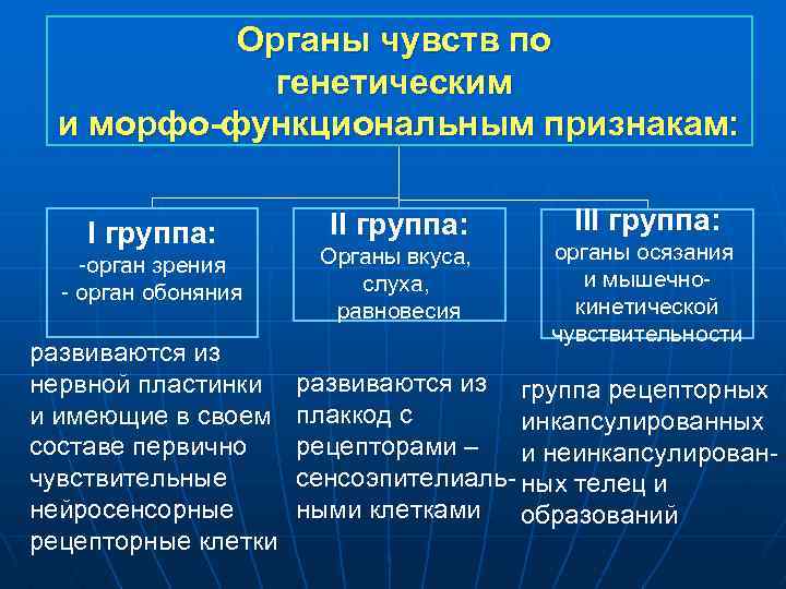Органы чувств по генетическим и морфо-функциональным признакам: I группа: -орган зрения - орган обоняния
