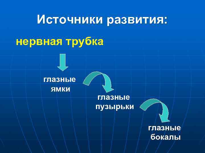 Источники развития: нервная трубка глазные ямки глазные пузырьки глазные бокалы 