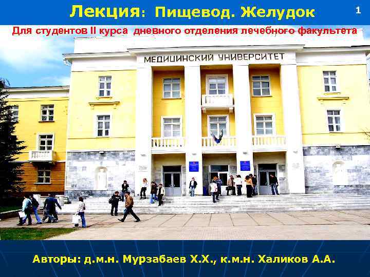 Лекция: Пищевод. Желудок 1 Для студентов II курса дневного отделения лечебного факультета Авторы: д.