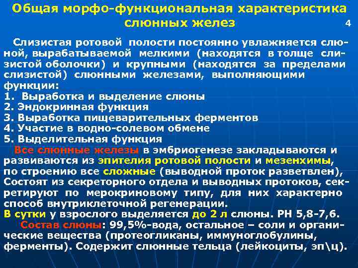 Общая морфо-функциональная характеристика 4 слюнных желез Слизистая ротовой полости постоянно увлажняется слюной, вырабатываемой мелкими