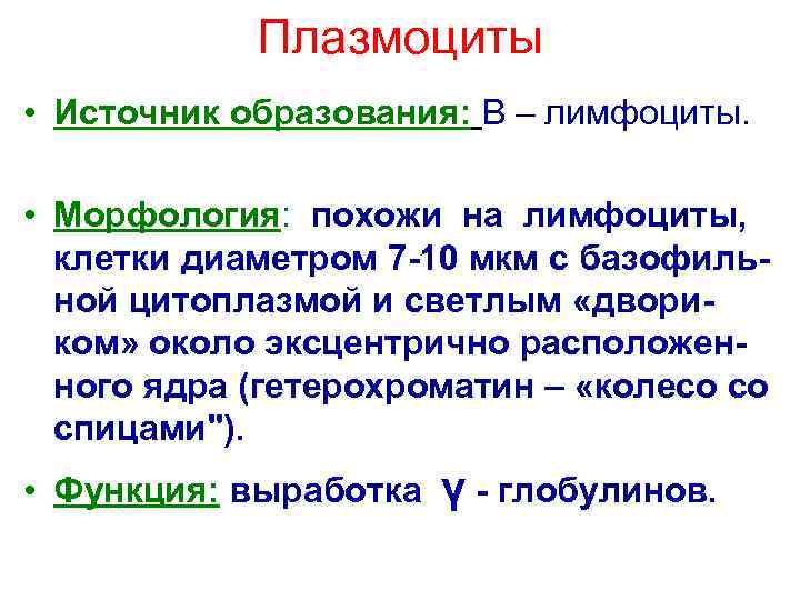 Плазмоциты • Источник образования: В – лимфоциты. • Морфология: похожи на лимфоциты, клетки диаметром