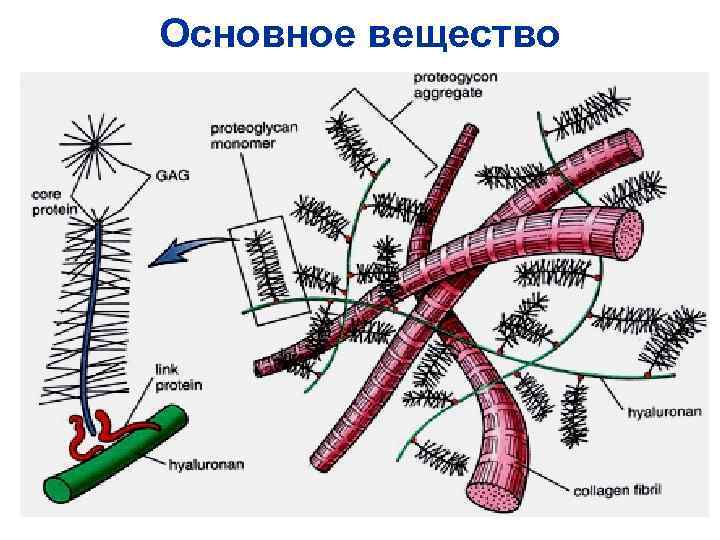 Основное вещество 