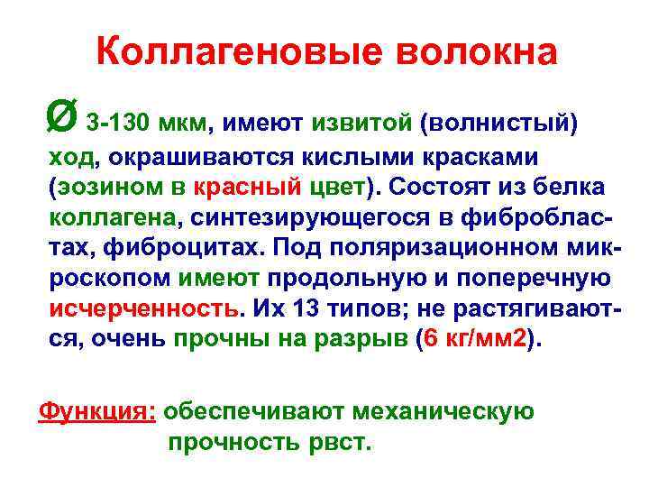 Коллагеновые волокна Ø 3 -130 мкм, имеют извитой (волнистый) ход, окрашиваются кислыми красками (эозином