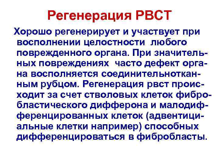 Регенерация РВСТ Хорошо регенерирует и участвует при восполнении целостности любого поврежденного органа. При значительных