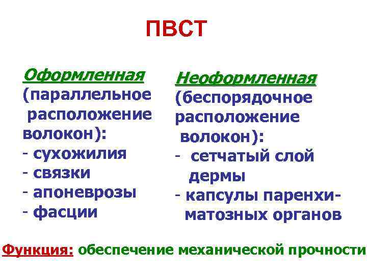 ПВСТ Оформленная (параллельное расположение волокон): - сухожилия - связки - апоневрозы - фасции Неоформленная