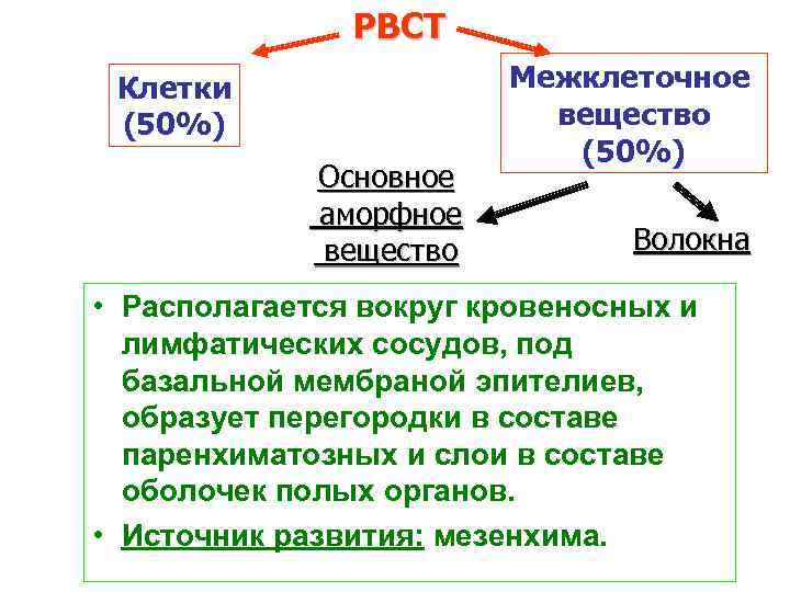 Межклеточное вещество. Аморфный компонент межклеточного вещества функции. Аморфное вещество соединительной ткани. Основное аморфное вещество. Аморфное межклеточное вещество.